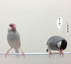 ランウェイを目指す