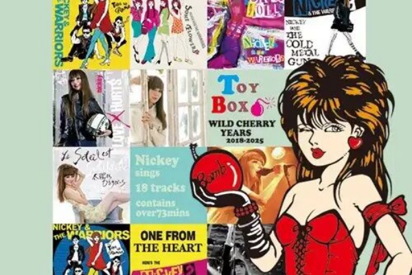 ☆超希少 入手困難 CD教材名: これが指導者だ ※ 録音ディスクCD: 6枚 a80213b1-s.jpg