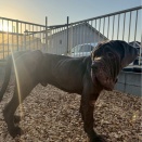 シエルター日記💓💓💓