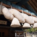 強い「依存症」があるのは、違法薬物だけではない