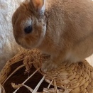 はかどる解体工事