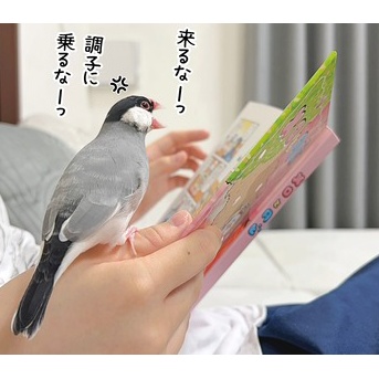 拒否される私