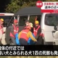 【悲報】クマ被害止まらない 岩手県一関市で67歳男性と犬の遺体見つかる 秋田でも女性の遺体