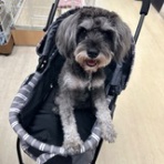 名古屋市 北区 ペットショップ ワンラブ NEWクロスタウン店ブログ