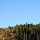 土曜日陶芸教室