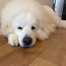 昨夜は気温高かったから…   