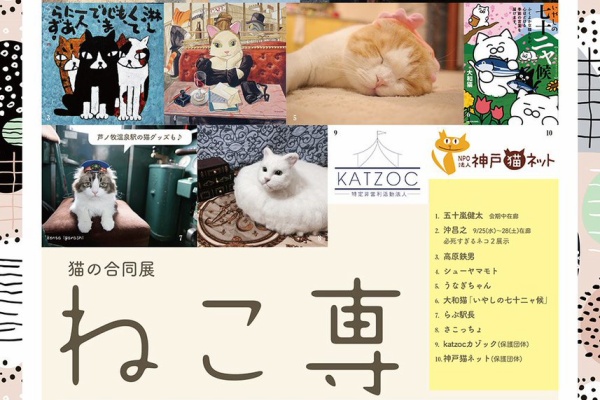 猫好きイラストレーターのノホホン日記 イラスト作品 猫写真 19年09月 猫好きイラストレーターのノホホン日記 イラスト作品 猫写真 19年09月