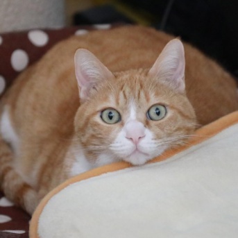 満たされていた。