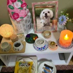 月明かりの部屋