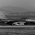 U.S.A.F   F-16C  944thFW 302FS ～築城基地にて～