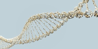 【離婚】DNA検査したら俺の子ではなかった。→嫁を問い詰めても泣くか逆ぎれ。→義父を呼ぶと言うと…