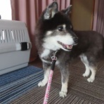 churahamaのブログ