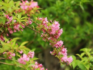 なぁんも居ねえ…公園を歩いてきた🚙💨