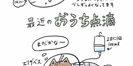 わっしょい！ヒゲ母ちゃん Powered by ライブドアブログ
