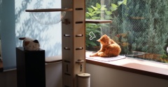 まる子は猫だから…