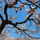 『目を大きく閉じて』 ―from『ウマ娘 プリティーダービー』―５．闇のトヨウケ