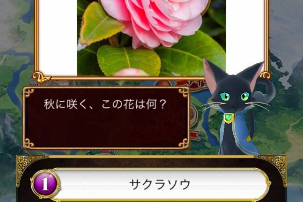 Taのウィズぶろぐ のんびりぷれい Taのウィズぶろぐ のんびりぷれい