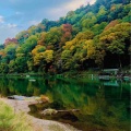 『2025年秋・京都嵐山☆紅葉最前線🍁』