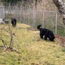 お気楽真っ黒ペア