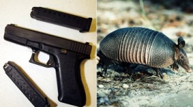 【米国】アルマジロを拳銃で撃った男性、弾丸が跳ね返って義理の母親（７４）に当たる