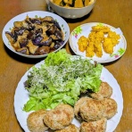 Cook Channel 841