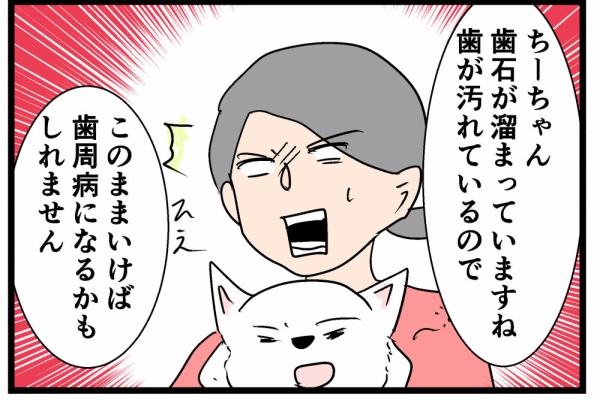 Xzam8xkxr8gxtm