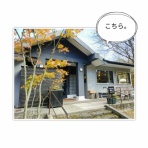 なかめのR子、シアトルで駐妻になる。