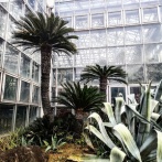 市川市観賞植物園へ②(2025年12月)