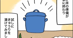 初めてのぬか漬け