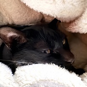 毎日が発見ネット掲載のお知らせ