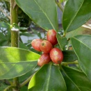 天気が良いけど風強く寒く感じた日