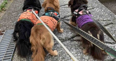 寝落ちママでした。