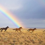 ～Dr.Fumiの美容Blog～