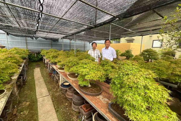 盆庭と盆石　上下2冊　西川一草亭 糸魚川真柏 約50年 | 雨竹亭オンラインショップ