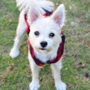 THE SECEN Hamanakoさんに行って来ました③