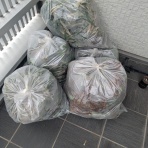 着物愛好会