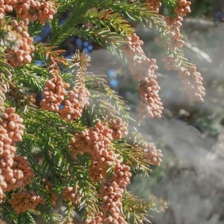 とやま速報 - 富山県富山市の地域情報サイト