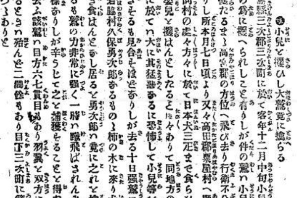 妖怪大好きブログ 山の妖怪