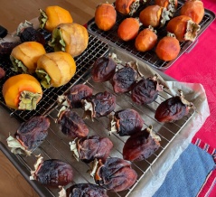 枝付に娘さんの想い