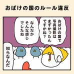 毎日でぶどり