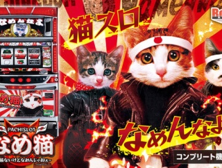 マイホさん、なめ猫を4台導入予定もいきなり5スロ送りしてしまうｗｗｗｗｗｗ