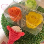 なごみリポートin福島