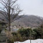 しいちゃん☆ずっと一緒だよ