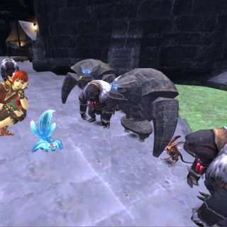 【FFXI】あひるの庭。