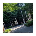 出荷～が続く！！けど、緩衝材も心配なご時世。。。