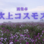 いきもの大好き！chunchunblog