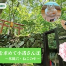 【小諸市】テーマは避暑×リラックス♪ 涼を求めて小諸さんぽ～氷風穴・ねこのや～