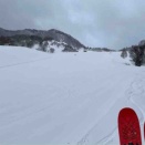 １月２６日　オジロ