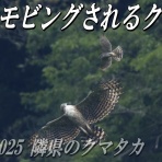 kita-papa のFF日記