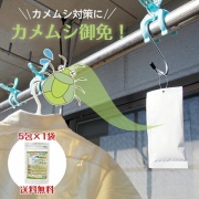 【悲報】カメムシよりキモい虫っているか？